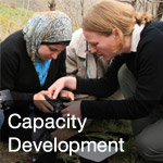btn-capacity-development