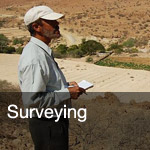 btn-surveying